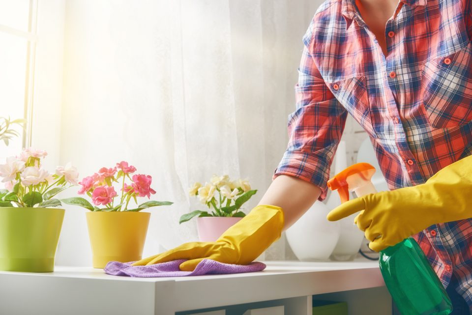 Spring Cleaning Tips