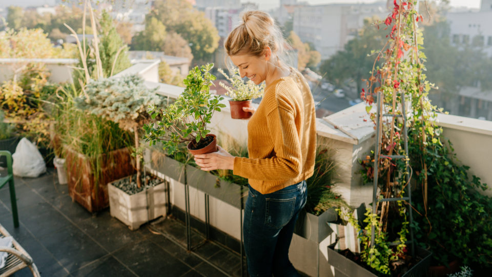 Photo of young woman taking care of her plants on a rooftop garden