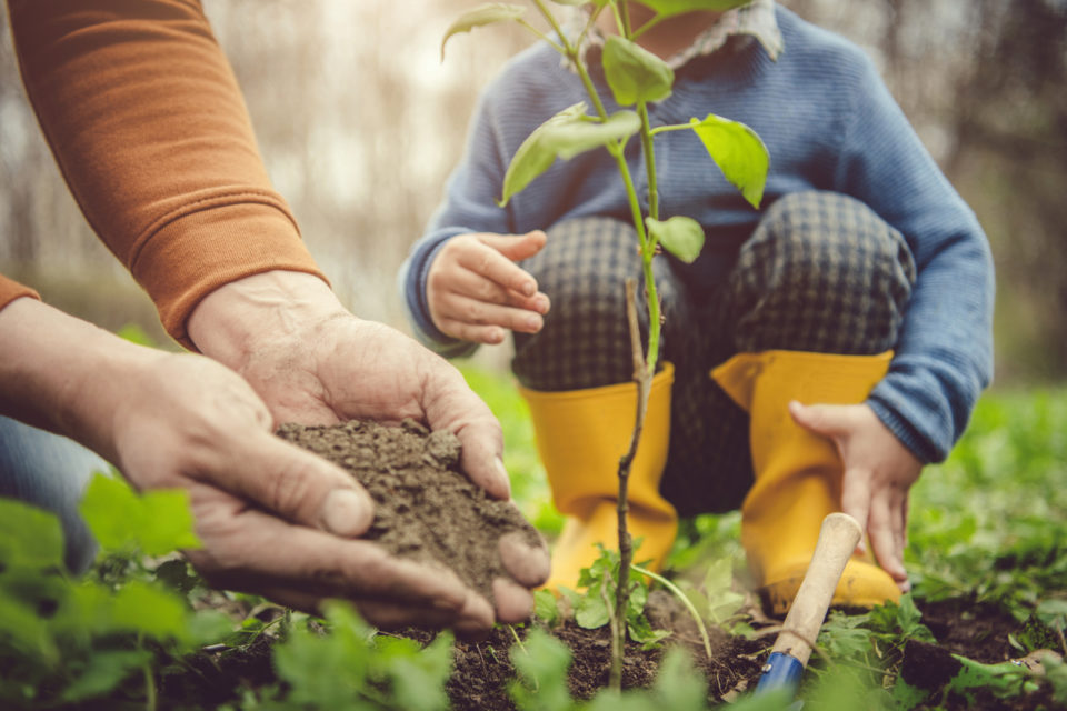 Little boy and his father gardening in spring