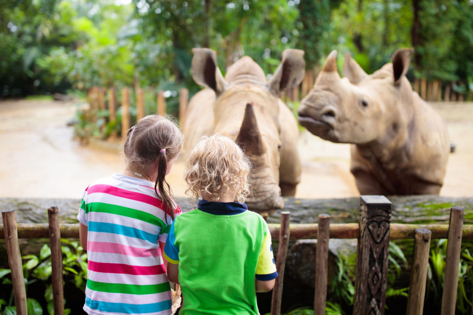 Kids feed rhino in zoo
